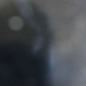 Meet your Posher, Jose